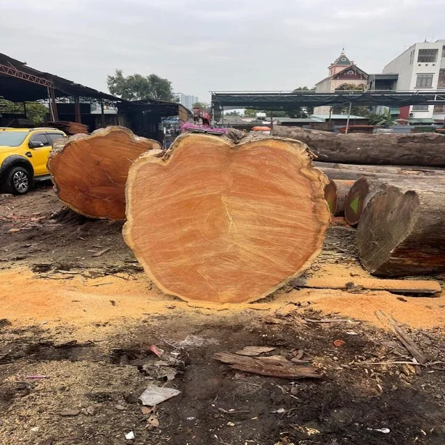 Chenchen Wood (Antiaris Africana) Square And Round Logs