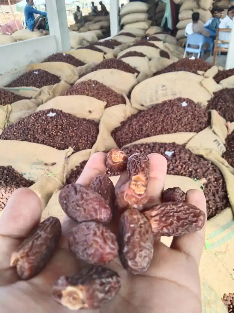 PAKISTANI BROWN DRIED DATES FRESH CROP OF 2021-22 PREMIUM QUALITY SMALL SIZE RANGKAAT YELLOW CHUWARA CHUARA