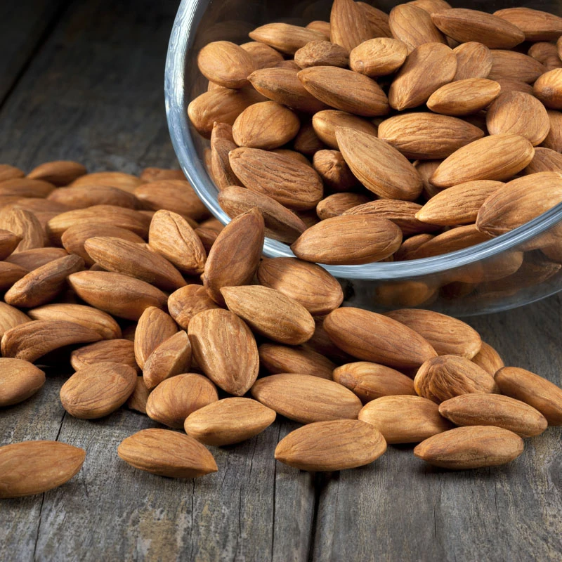 Good Grade Almond Nuts Organic Bitter Almonds Raw Natural Style Baked Origin Type Nut Dried Place Cultivation Processing
