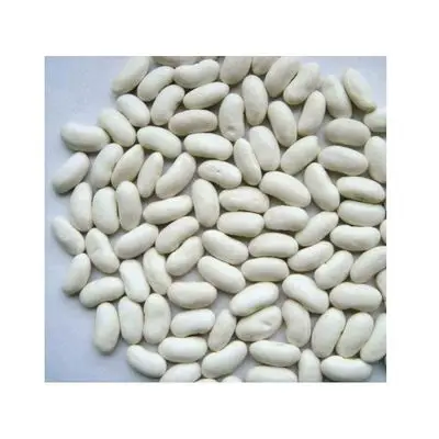 Оптовая продажа Высококачественная Белая фасоль низкая цена