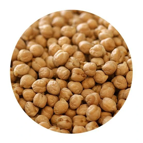 
GMO Chickpeas Kabuli Chickpeas from India 