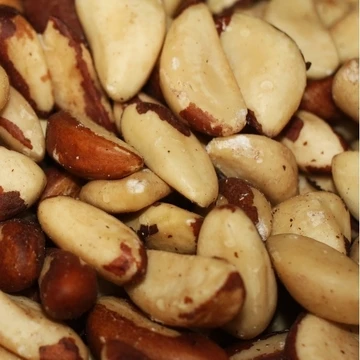 Pure Quality  Natural Peru High Quality Brazil Nuts Wholesale