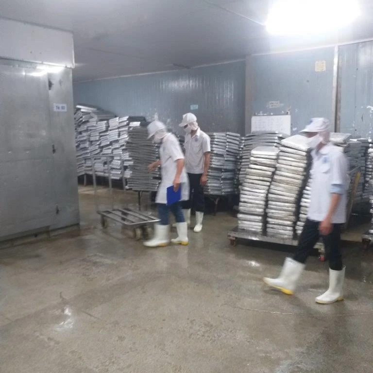 
Seafood factory - DPI inspection services in Vietnam for consumer goods - Well-trained inspectors 