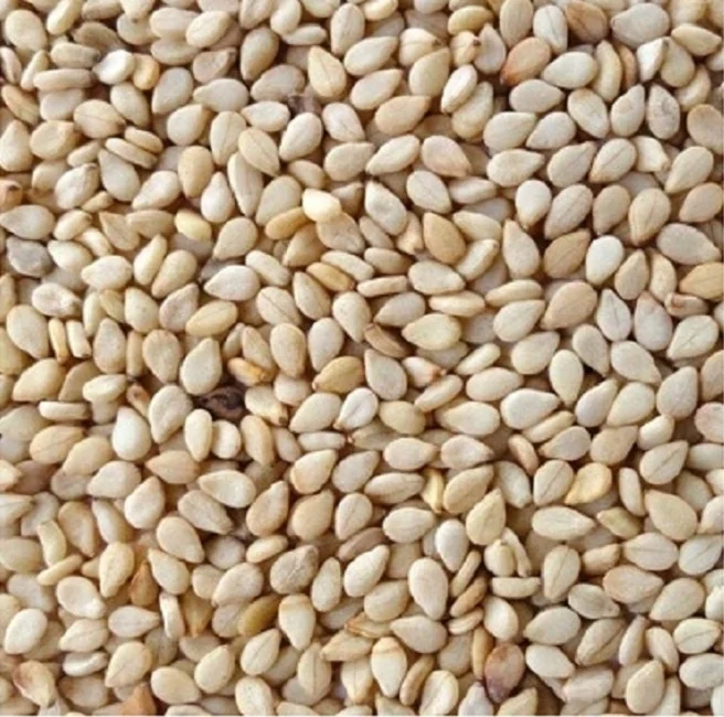 SORTEX CLEAN 99.95 % PURITY SESAME SEEDS UN HULLED PRICE