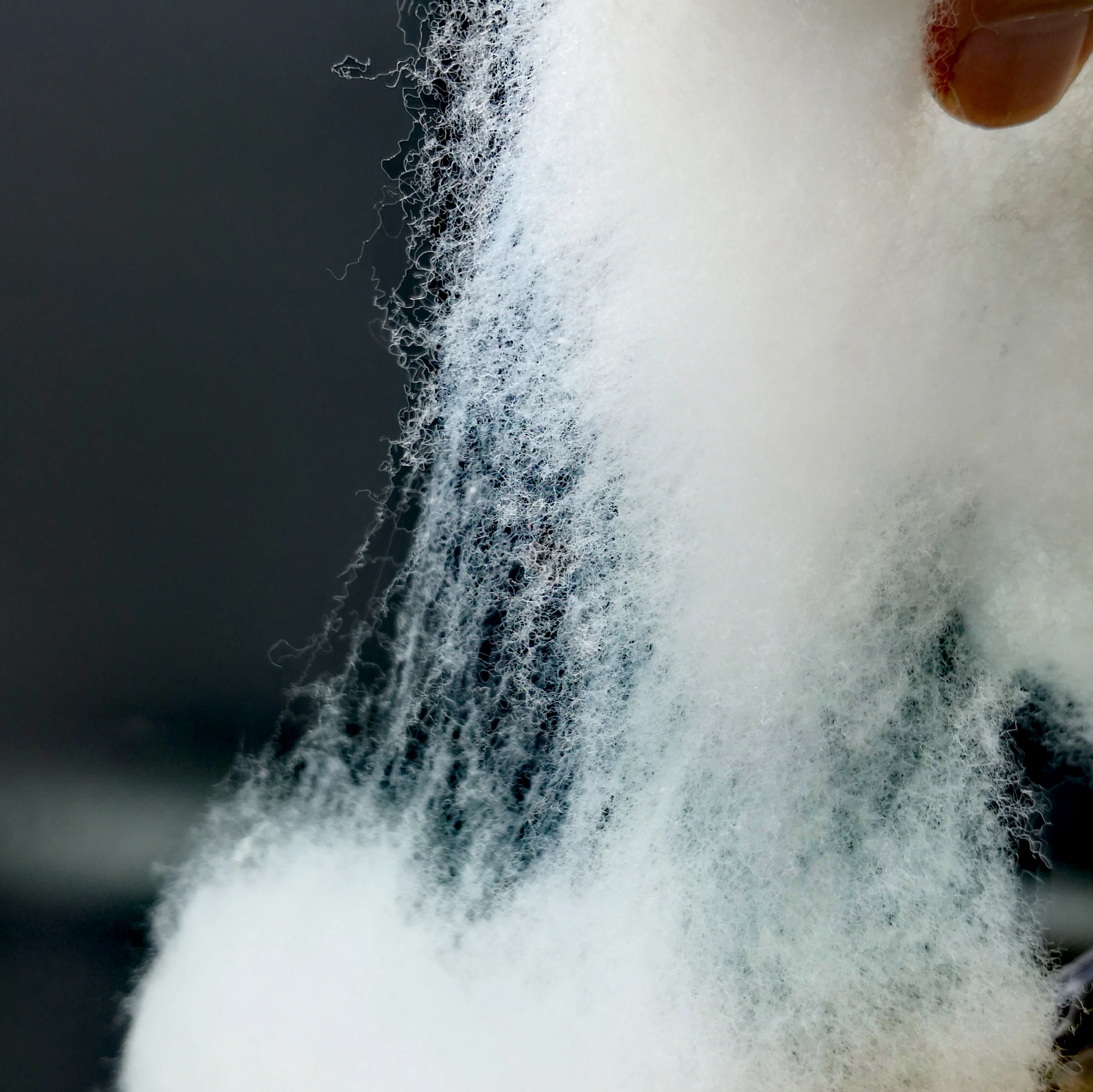 Aquarium best filter wool (100,250 g) For Freshwater & Saltwater.Synthetic Residue-Free Filter Wool.Hang On ,canister Filter