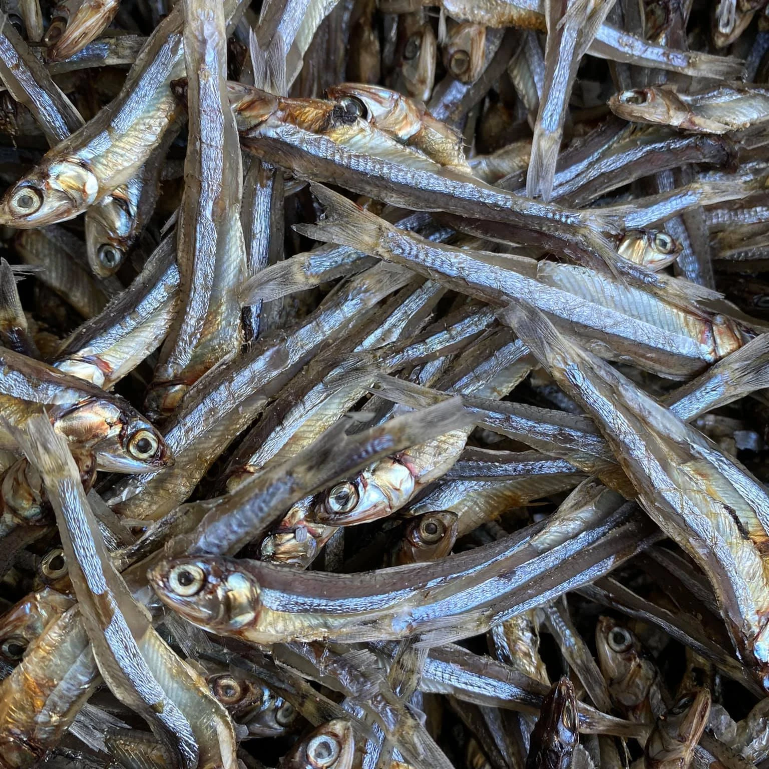 Dried Anchovy Fish