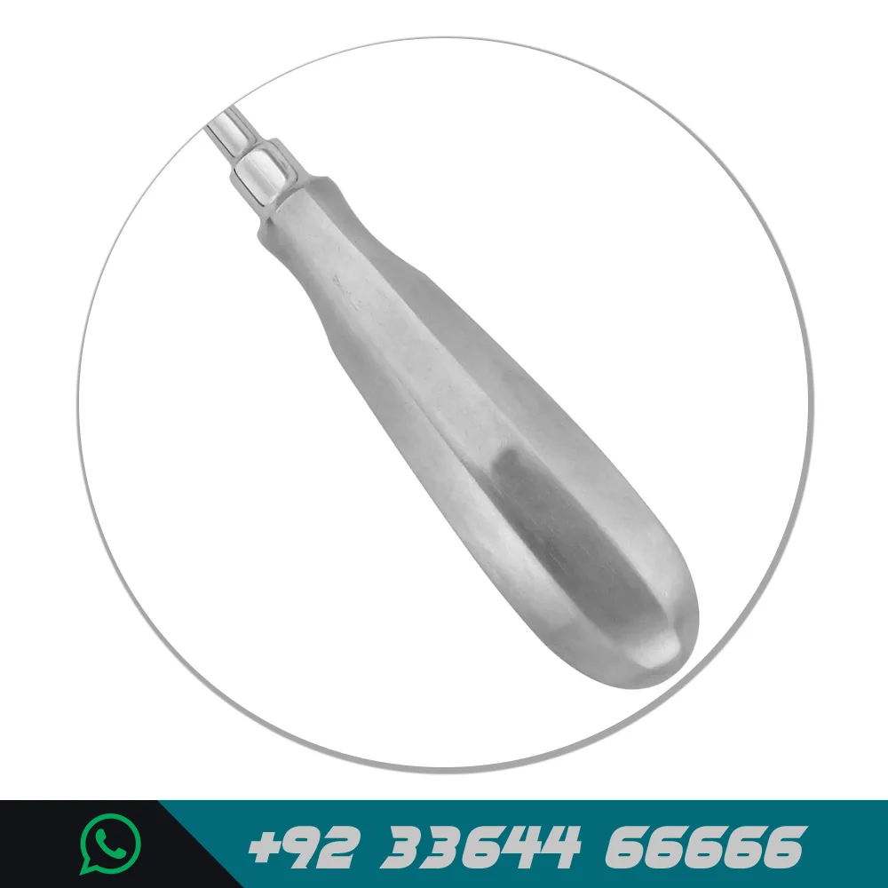 
Bayonet Elevator Medical Dental Orthodontist Dentist Lab Clinic Instruments Tools Cheap Price Dentistry Supplies 