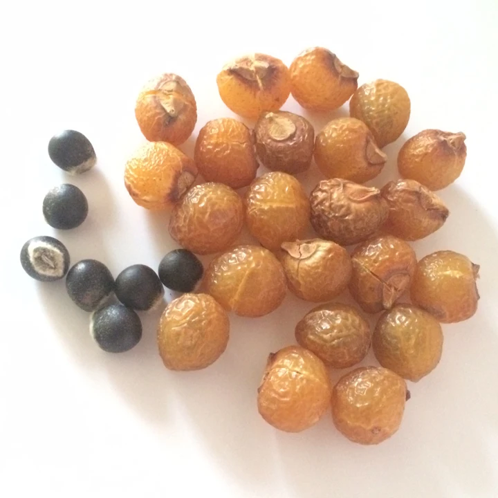Himalayan Soap Nuts from Nepal, Soap Nuts shells bulk supplier, wild crafted soap nuts wholesale