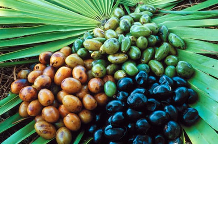 body massage oil Saw Palmetto oil