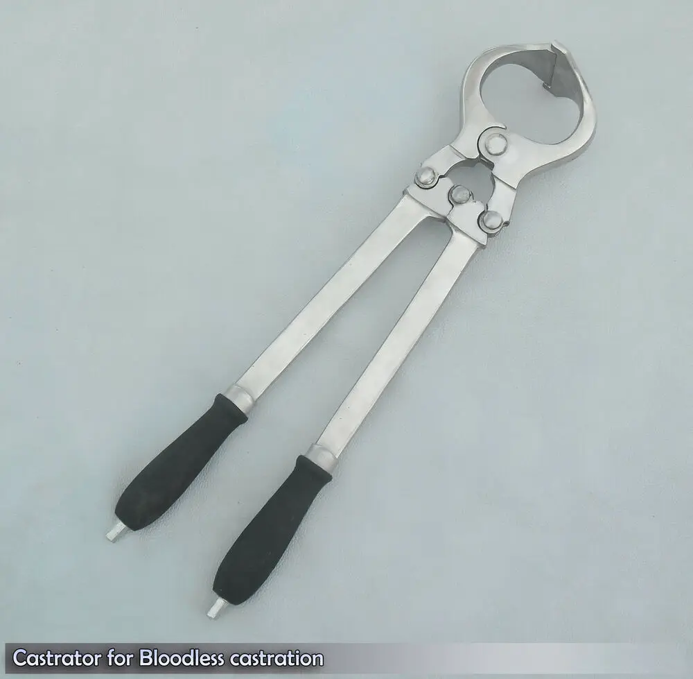 Burdizzo Castration Forceps Safdar Pak High quality sheep goat bloodless articulated castrator