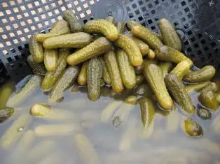 
Gherkins in 240/260 Lts Drums (Bulk) 