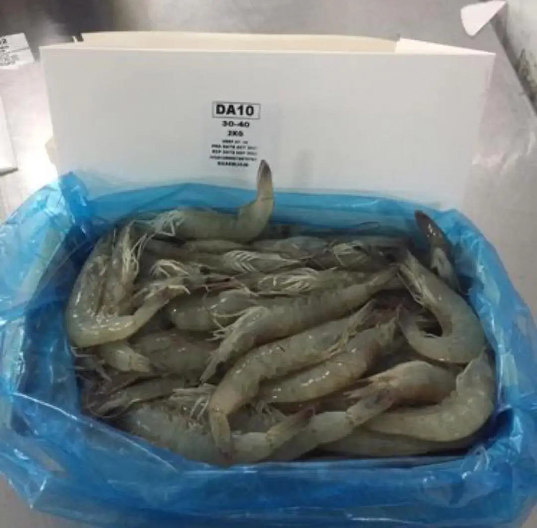 Shrimp Frozen Wholesale Large Prawn Seafood Shrimp