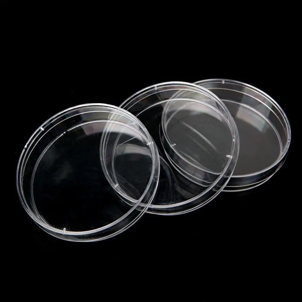 Petri Dish Container