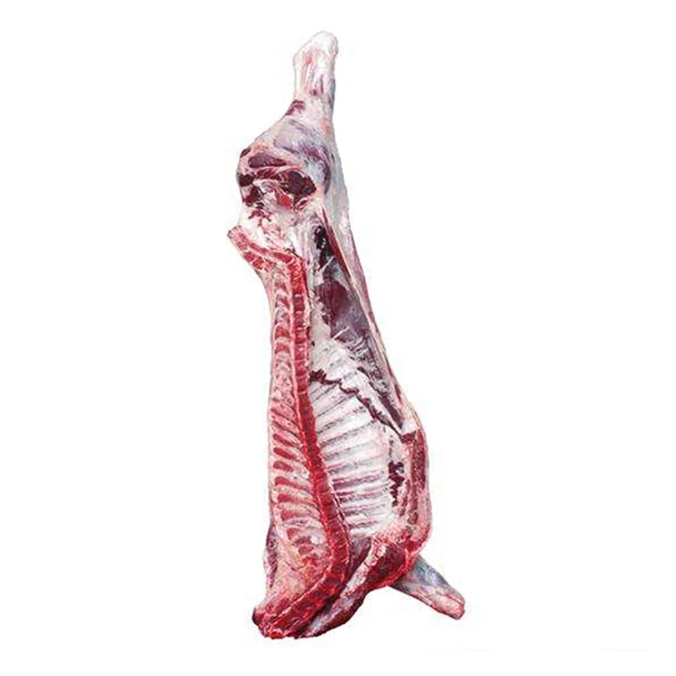 Premium Quality 100% Halal Fresh/Frozen Sheep/Goat/Lamb Meat/Carcass for Sale