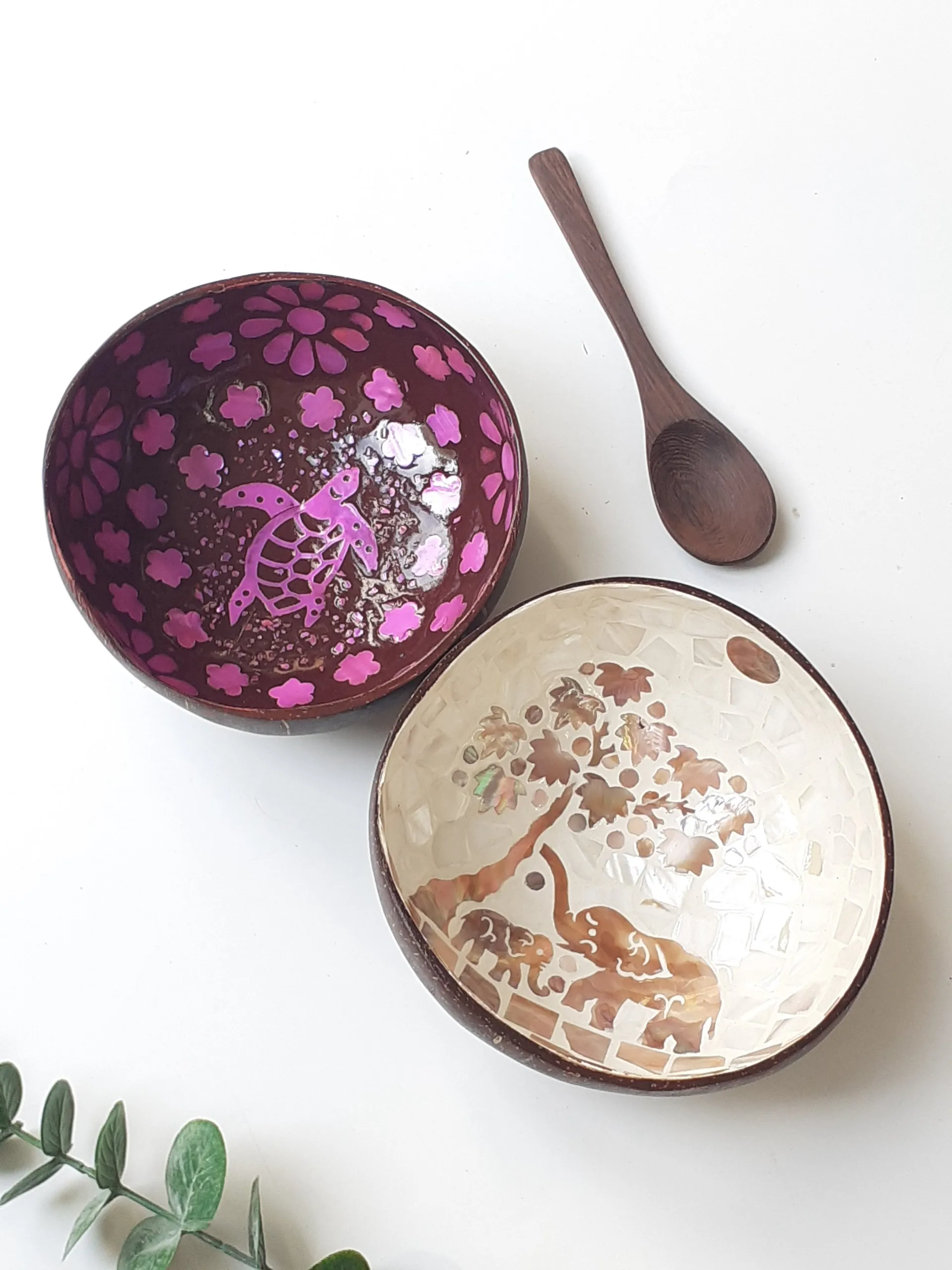 Vietnamese cheap animal pattern coconut bowl shell set of 2 - coconut bowl with mother of pearl inlay with ebony spoon