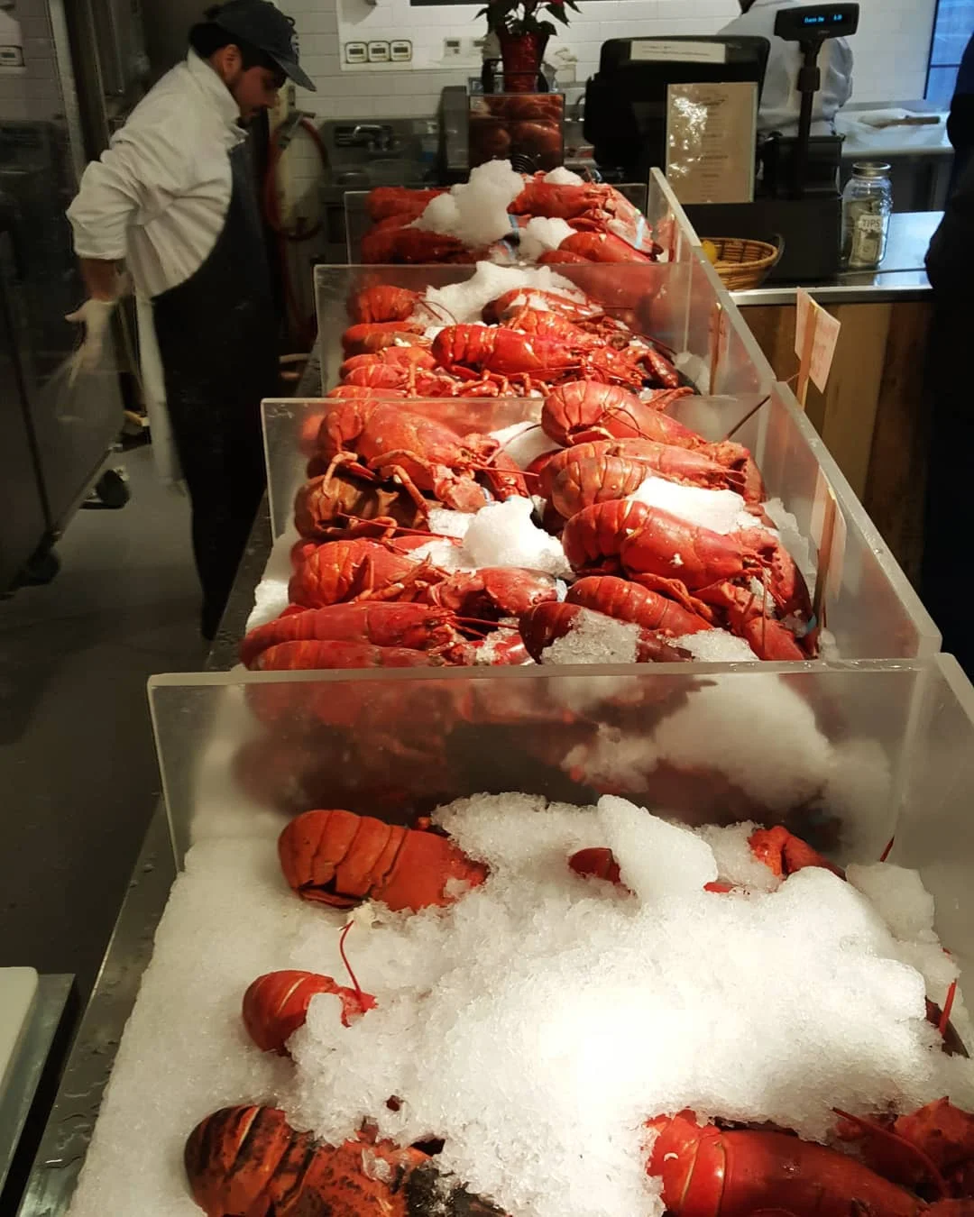 
Frozen cooked / raw lobster 