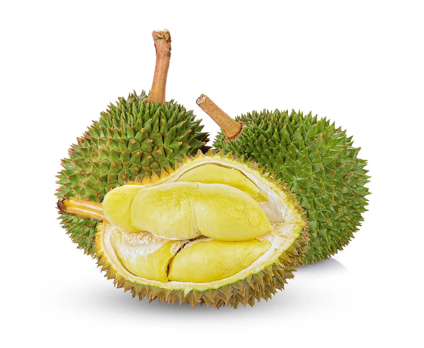 Лидер продаж свежий durians премиум класса из Таиланда от SP Organic International