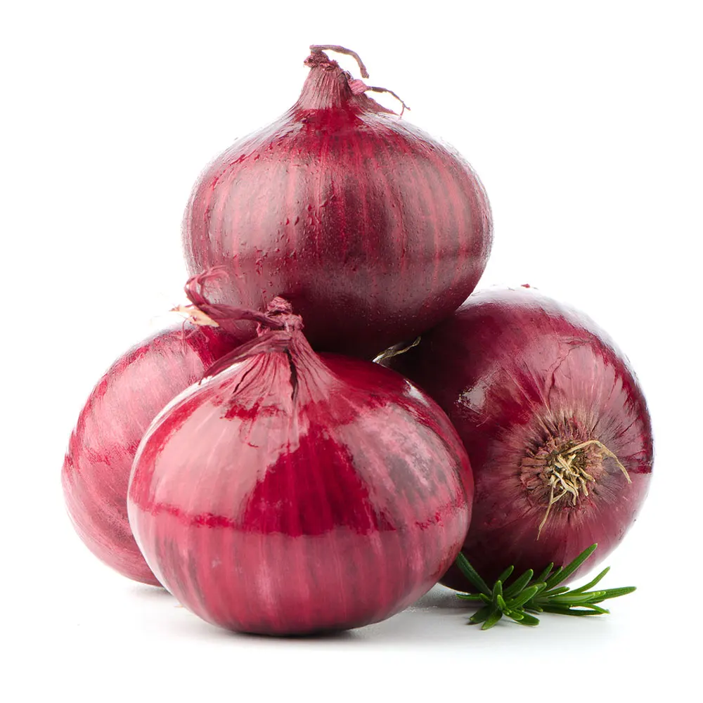 Hot Sale Factory Direct Supply Cheap Price Pakistan Best Made Fresh Vegetable Red Onion / Fresh Red Onions Export Quality