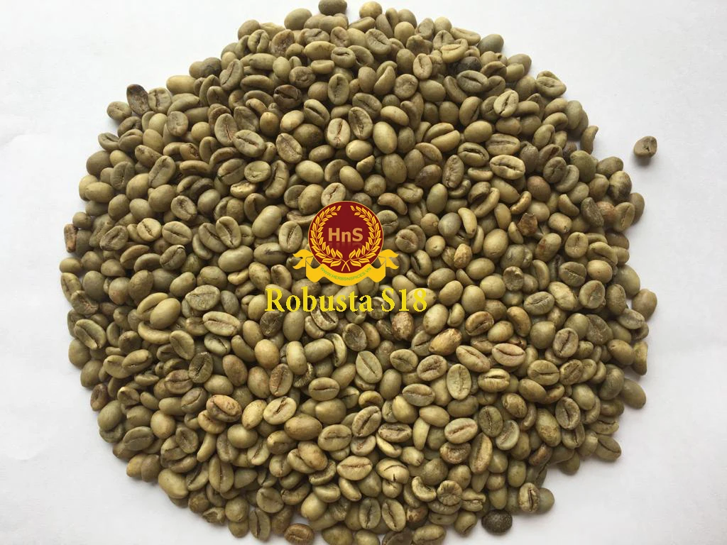 Washed Arabica green coffee beans S16/18