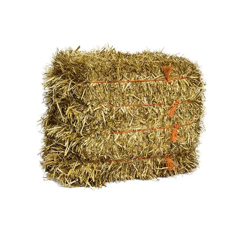 Turkish High Quality Alfalfa Hay Oats Hay Animal Feed for Sale Animal Feed Turkish Alfalfa