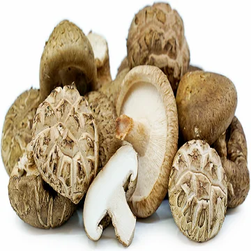 
wholesale Canned Shitake mushroom 