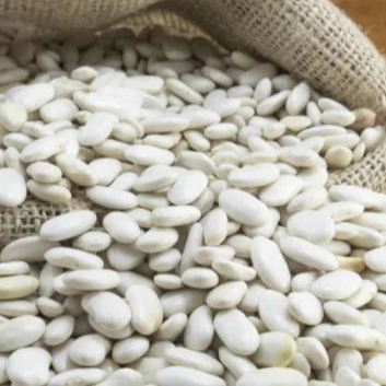 
Organic LIMA BEANS FOR EXPORT 
