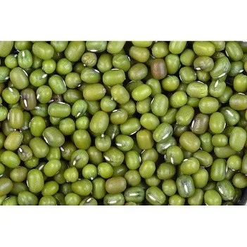 Export Quality Sun Dried Green Gram At Low Prices
