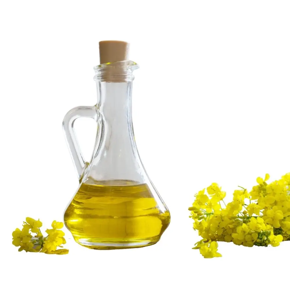 Certified Organic 100 % Pure Refined Rapeseed Oil, Canola Oil, Crude degummed rapeseed oil Wholesale price
