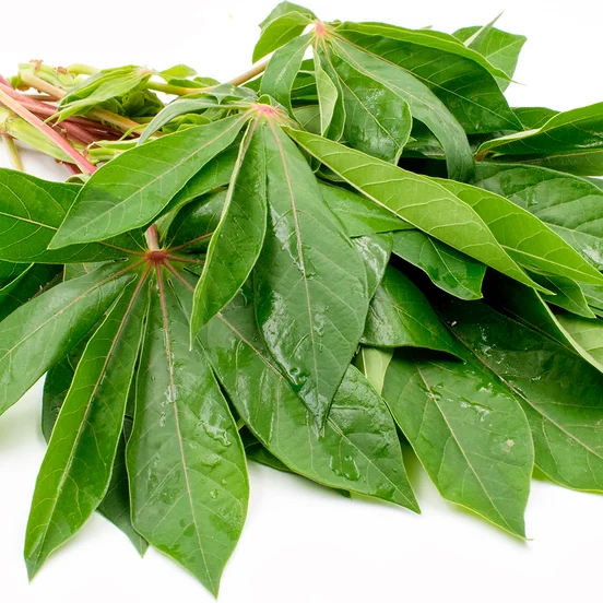 IMPORTER CASSAVA LEAVES/ FRESH GROUND LEAVES FROM VIETNAM - Ms. Elaine +84 375 431 541