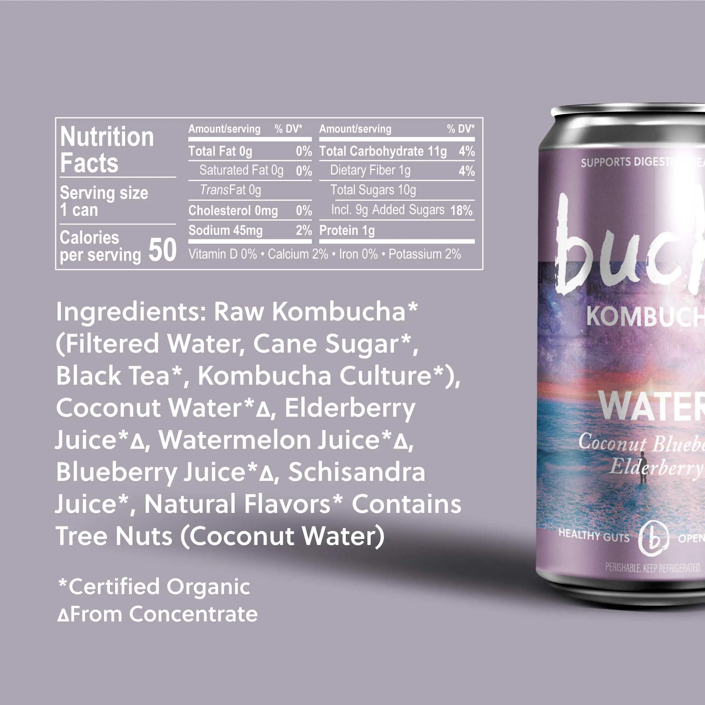 Buchi Kombucha 12/8oz Water Coconut Blueberry Elderberry Organic Kombucha Can Premium Quality