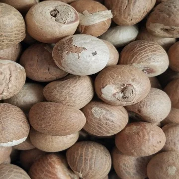 Betel Nuts1.jpg