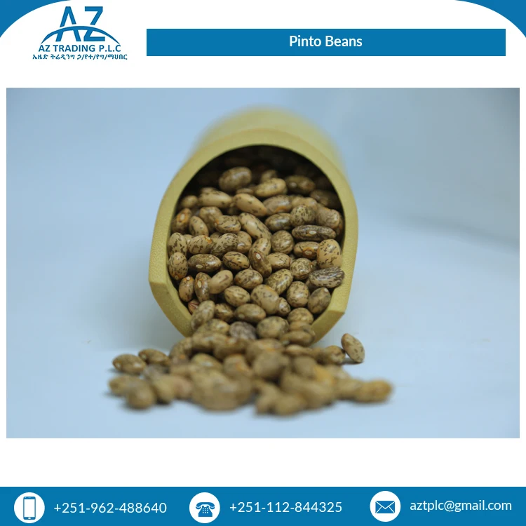 Best Selling Fresh 2 Year Shelf Life Wholesale Natural Hand Picked Pinto Beans at Least Price