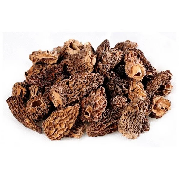 
 Высококачественный оптовый поставщик грибов Мореля по самой низкой цене  