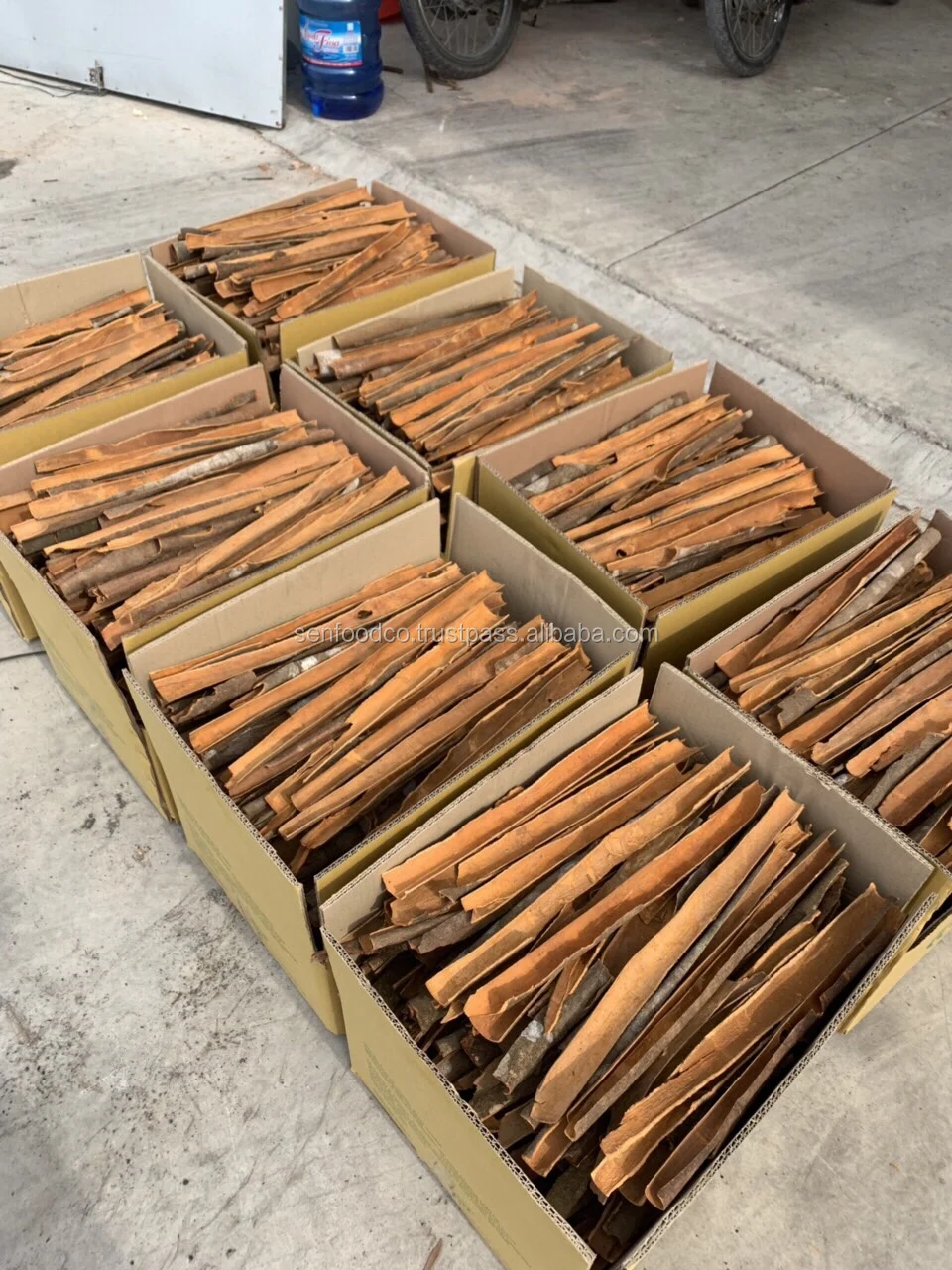 
BEST RATES SPLIT CASSIA COMPETITIVE PRICE 