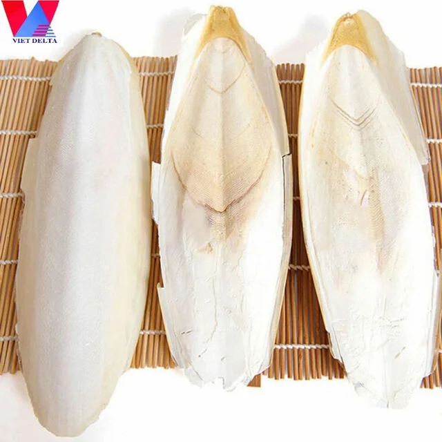 Wholesale Supplier CUTTLEFISH BONE/CUTTLEBONE from Viet Nam//Shyn Tran +84382089109