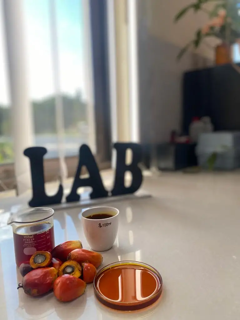 4.5% max FFA Agriculture 100% Purity Crude Palm Oil (CPO) From Indonesia Manufacturer Using For Cooking