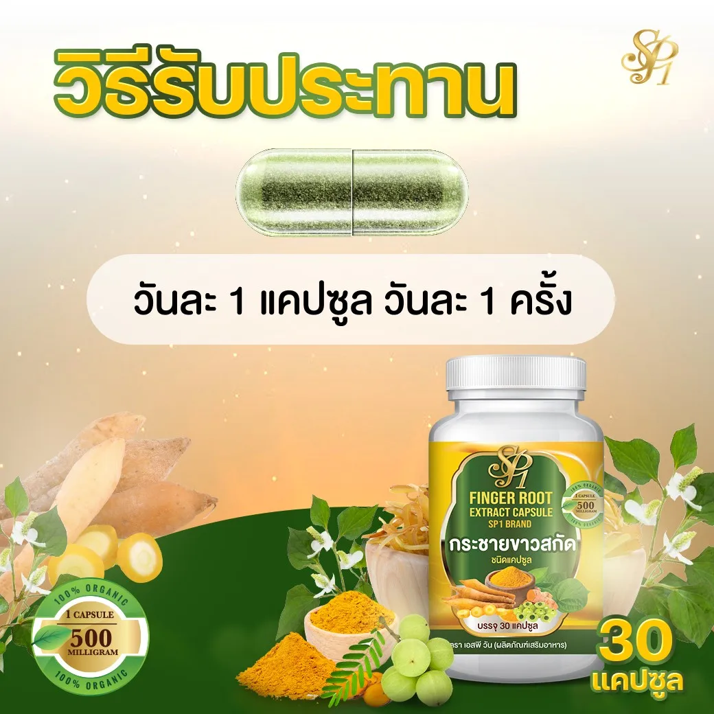 
Figer Root Extract Capsule product of Thailand 