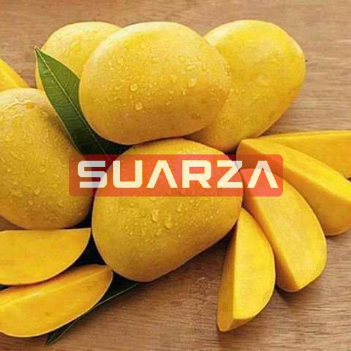 EU quality approved Fresh mangoes of different variety/ Fresh nutritious Mango  for Sale/fresh mango manufacturer