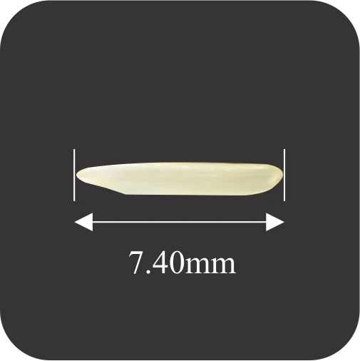 Pusa Steam Rice in 10kg bag