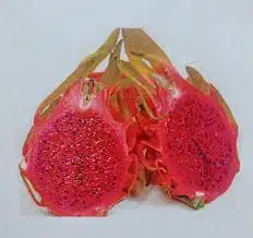 Фантастический Свежий фрукт дракона