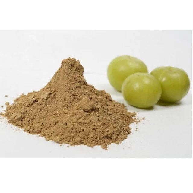 Bulk Phyllanthus Emblica Fruit Extract 100% Organic Certified Amla Extract Powder 100% Organic Amla Fruit powder
