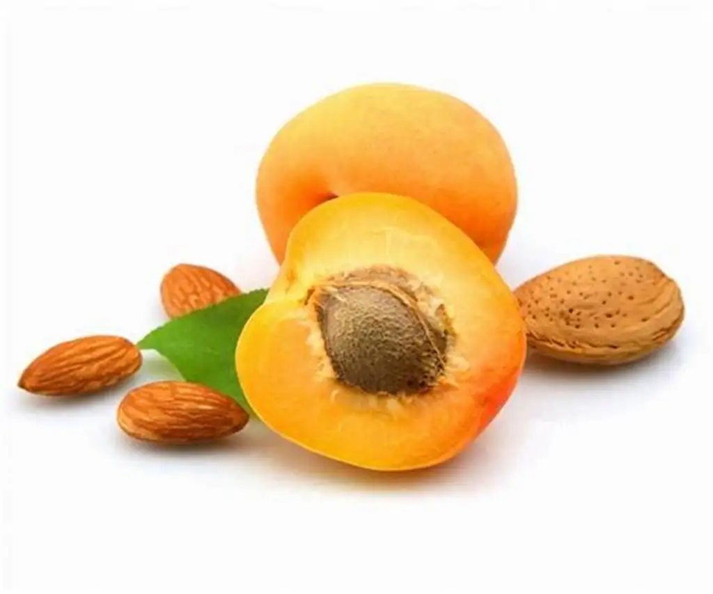 Apricot kernels for sale
