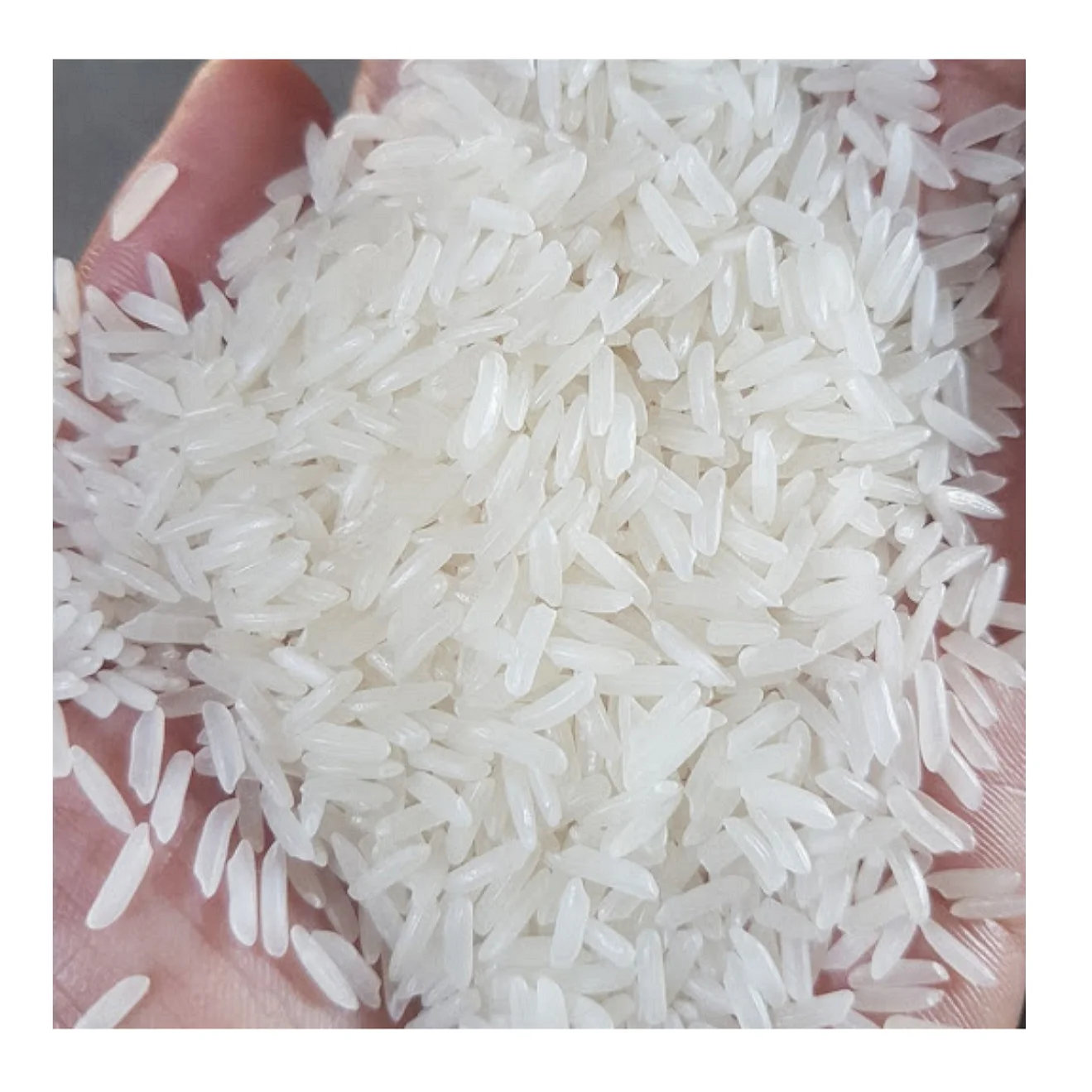 New crop Vietnam long grain white rice OM5451 5% broken 15% broken