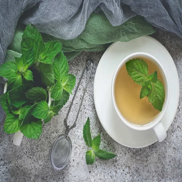 Newly Harvested Dried Spices Herbs Dried Peppermint Mint Leaves Cut Herbs