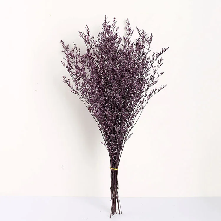 Ins style Limonium latifolium preserved  valentines grass for home and Decoration