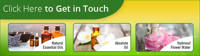 paste-pic-dp_uuid_jxi28