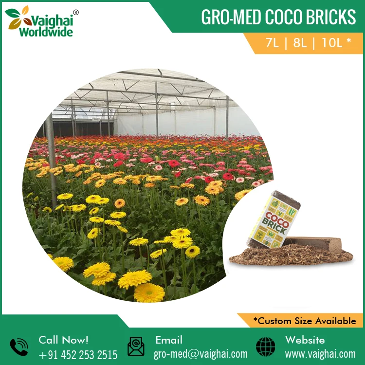 Coco Coir Peat Bricks | Perfectly suited To Grow Fruit Plants Herbs And Succulents