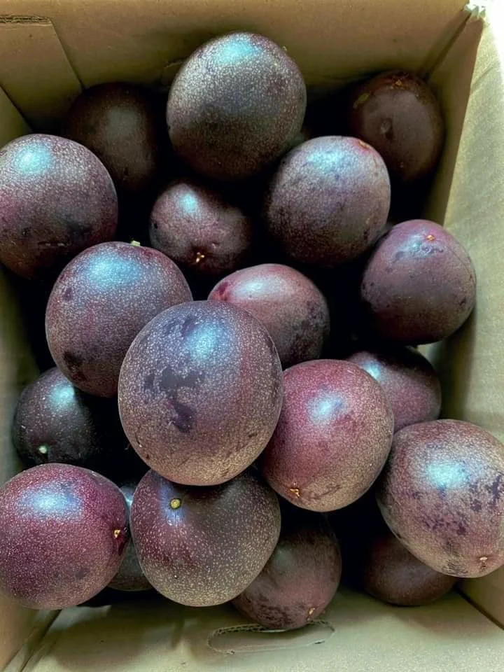  Замороженные страстные фрукты полностью в вакуумной упаковке высокое качество из Вьетнама 0084947900124