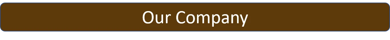 Our Company.png
