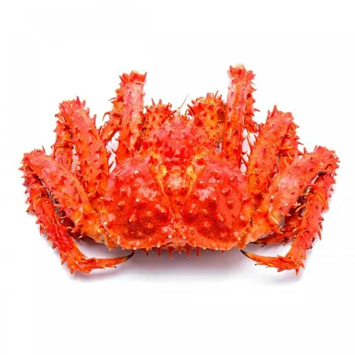 King Crab Legs Frozen Quality King Crab Online Snow Crab, Alaskan King Crab, Norwegian king crabs FOR SALE